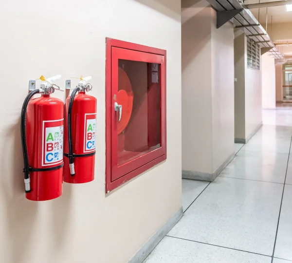 MEP Services image 9